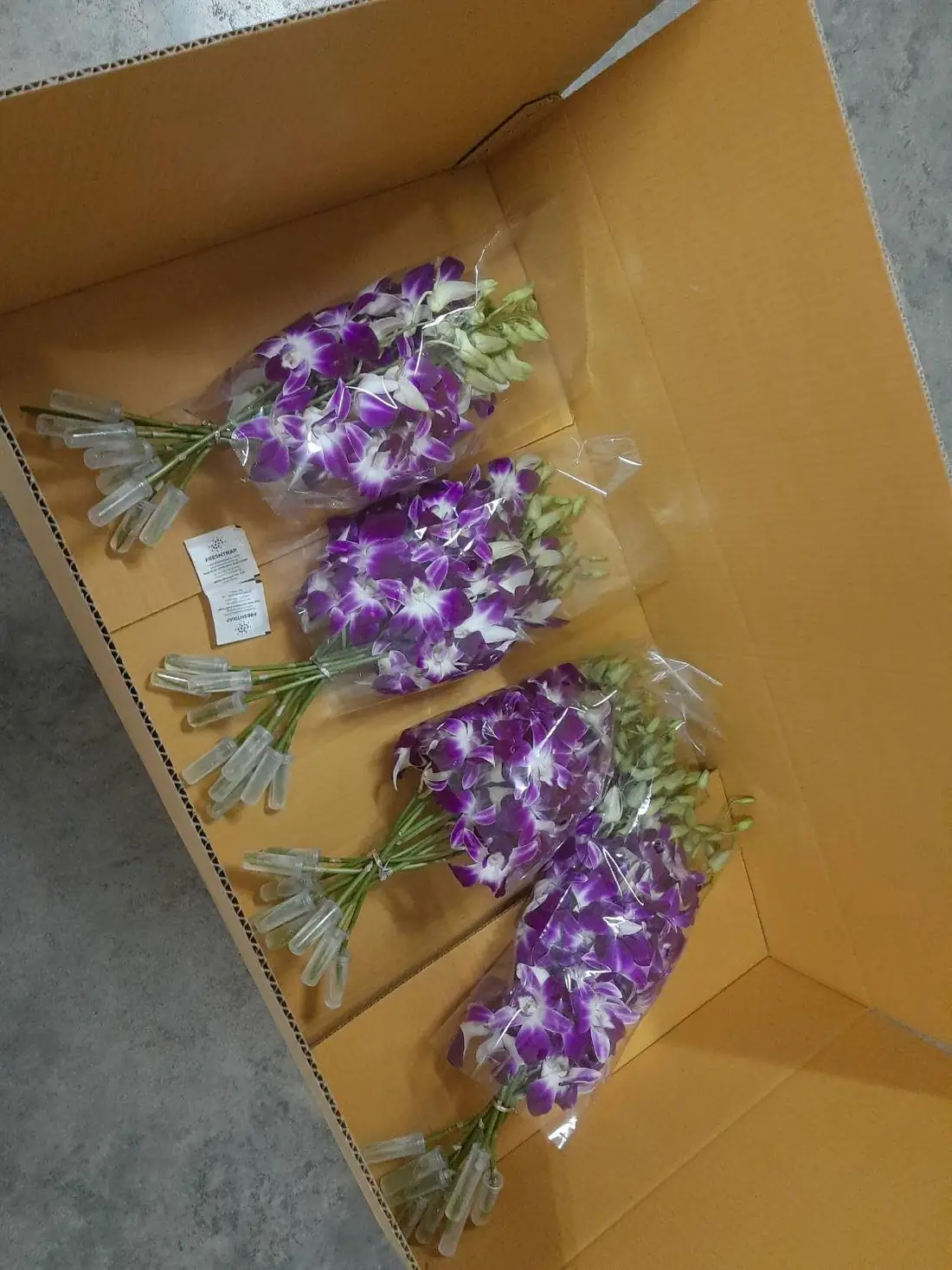 Purple Dendrobium orchid bunches packed in an open export carton.