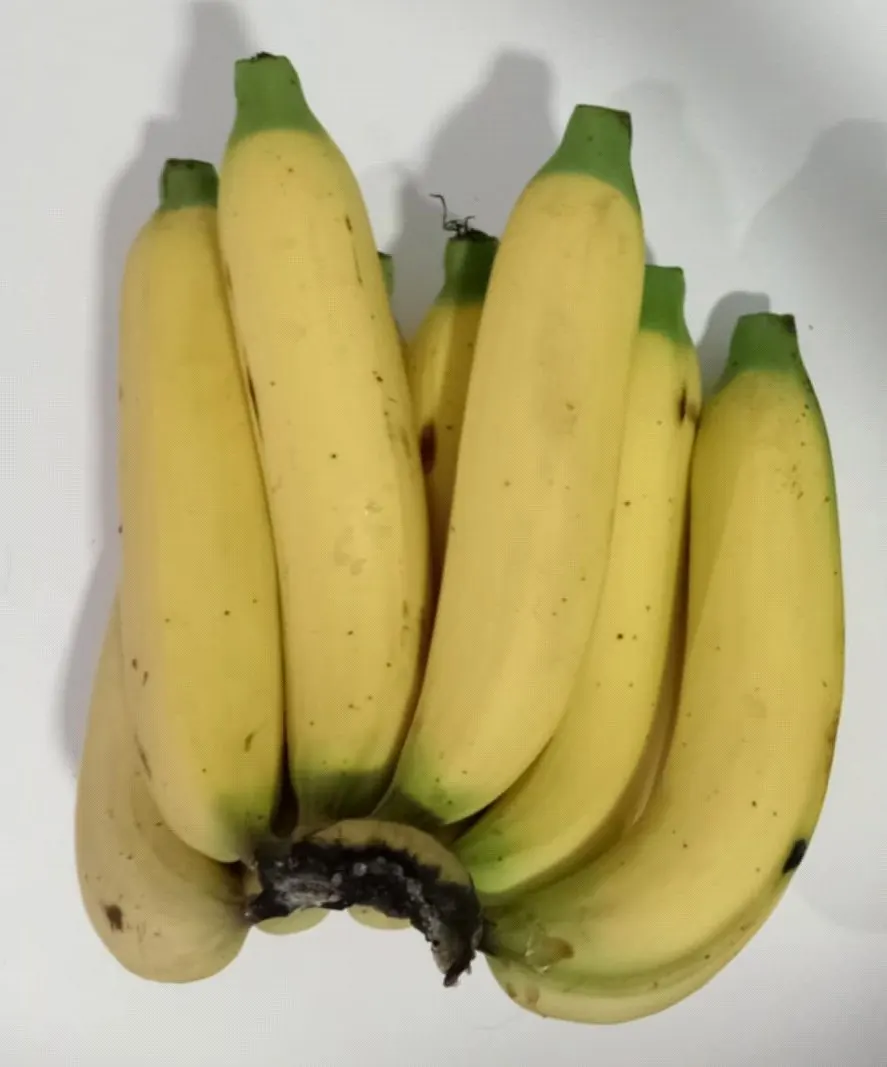 Untreated banana bunch (control), fully yellow on the same day as the treated bunch: in-house trial.