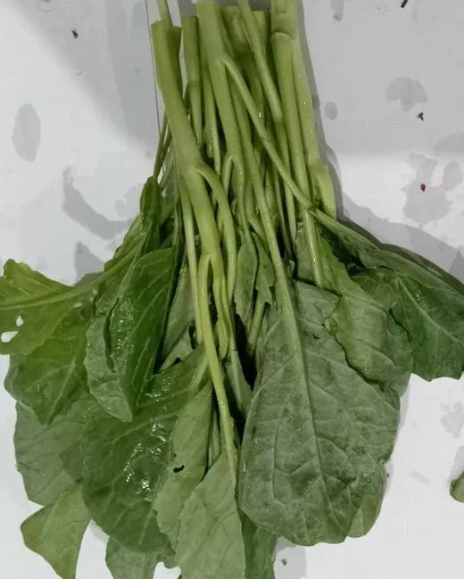 FreshTrap-treated Chinese kale at the end of the same hold: leaves still green. In-house trial.